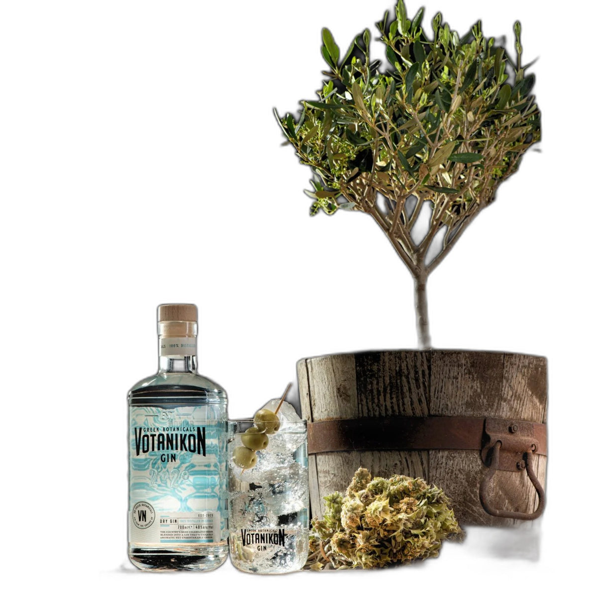 Gin Votanikon