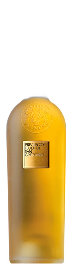 Privilegio, Feudi di San Gregorio